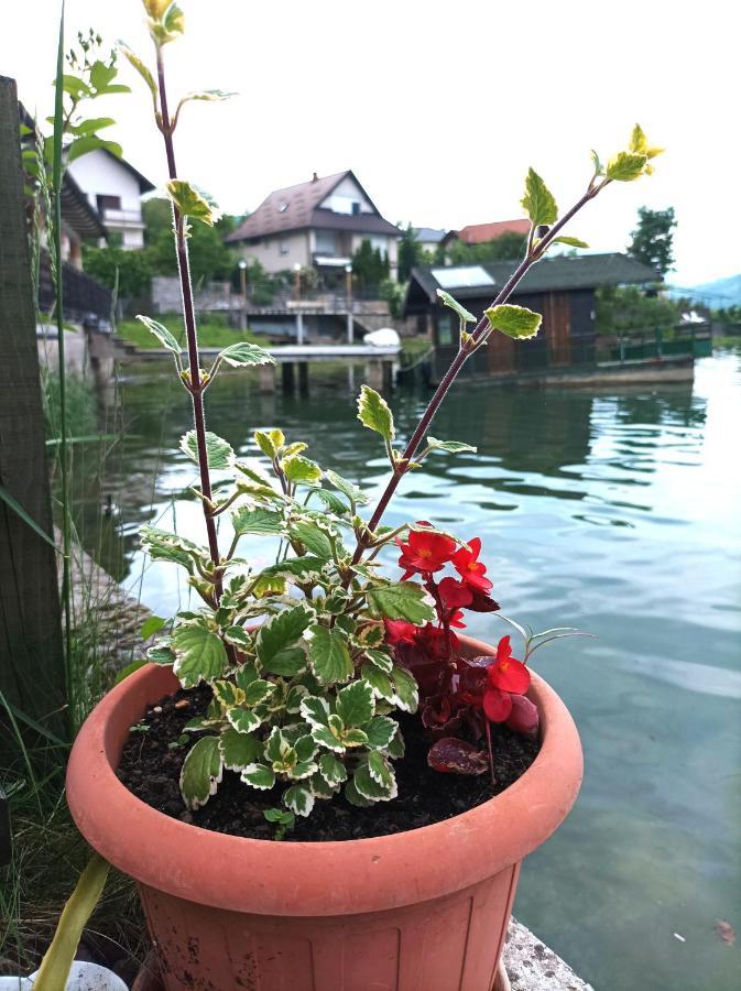 Dina Apartman Jablanicko Jezero Konjic Buitenkant foto